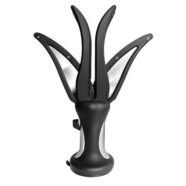 MSCR2023 Vulkanus Crown